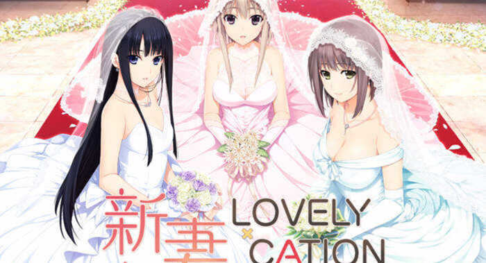 新妻LOVELY×CATION 精翻汉化版+全CG存档 大型ADV游戏-顽兔