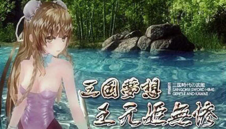 三国梦想：王元姫無惨 官方中文版 同人ARPG游戏 补 3.8G-顽兔