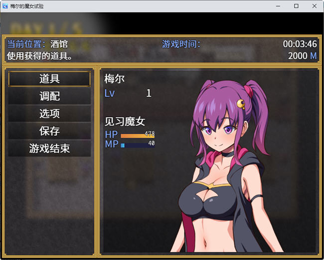 图片[6]-梅尔的魔女试验 官方中文版整合所有DLC PC+安卓 RPG游戏 950M-顽兔