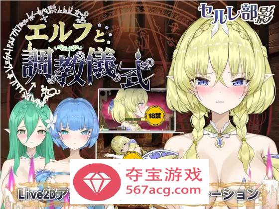 【调教互动SLG全动态】精灵的调教儀式 DL官方正式完整版+存档【新作2.2G】-顽兔