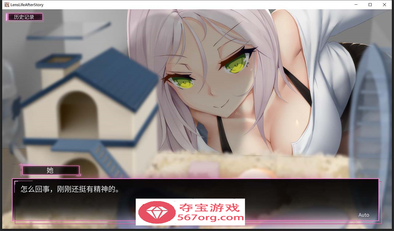 图片[5]-【神级SLG中文盗摄】我的镜头H人生2：AfterStory 官方中文版【新作超美黑丝2.6G】-顽兔