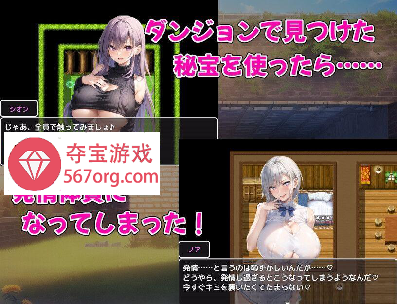 图片[3]-[PC-RPG] [新作RPG生肉巨乳]爆乳冒険者発情ハーレム～学園3大美女に種付け放題～[680M]-顽兔